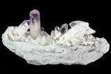 Amethyst Cluster - Las Vigas, Mexico #80624-1